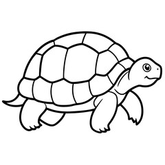 Geometric Tortoise Vector