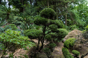 Japanese garden in the Botanical Garden of Georgia Asian plants Shrubs