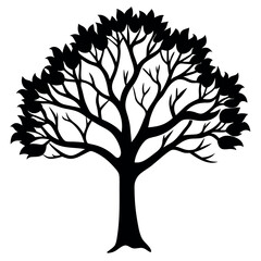 Obraz premium Black Silhouette Elm Tree Arching Branches Dense Leaves 1