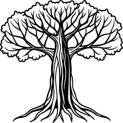 Obraz premium Intricate Line Art Mature Banyan Tree Black White black and white