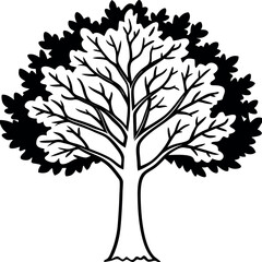 Obraz premium Large Elm Tree Black and White Illustration Branch Texture Leaf Design