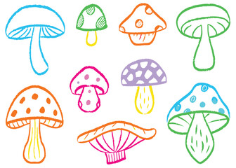 A vibrant vector illustration set of diverse mushrooms with autumnal forest elements, perfect for seamless patterns or food icons
