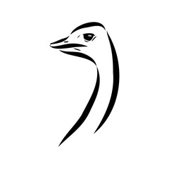 ostrich, vector sketch