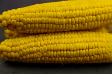 Close-up of yellow peeled corn cobs with a prominent texture of large grains lie on a dark background in the center. The concept of healthy nutrition, natural iron, corn cultivation. High quality
