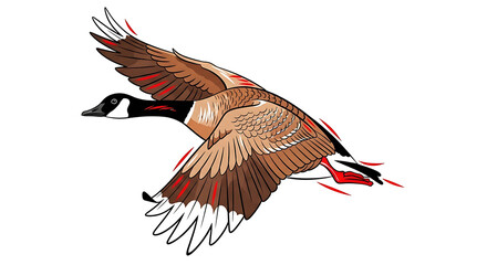 Fototapeta premium Stylized Canada Goose Mid-Flight: Graceful Bird with Brown Feathers & Red Accents against Black, Vector Illustration of Wildlife Migration