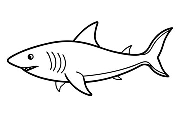 Shark Outline Illustration