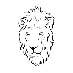 lion, vector sketch