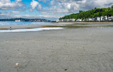 Alki Condos Low Tide 9