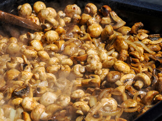 Pilzpfanne, gebratene Champignons