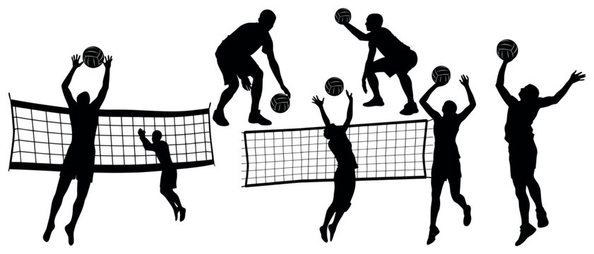 Vector art of silhouetted volleyball players, isolated on white background, dynamically spike and set the ball over the net during an intense match