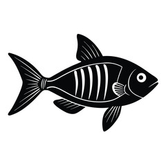 x ray letra fish vector Illustrator 