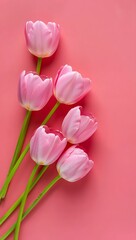 Obraz premium Five delicate blush pink tulips arranged in a graceful cascade against a soft coral background