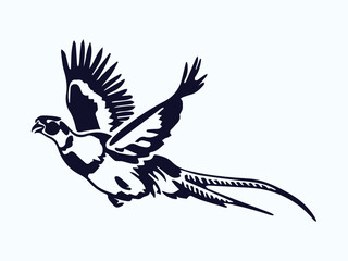 flying pheasant vector illustration, pheasant silhouette on white background graphic art
