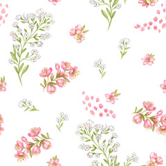 Delicate wild flowers on a white background, pattern, watercolor illustrations