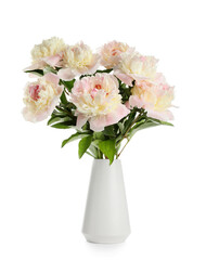 Vase with beautiful peony flowers on white background