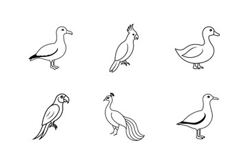 Obraz premium Line art vector illustration set of albatross cockatoo duck macaw seagull peacock Line Art Vector illustration