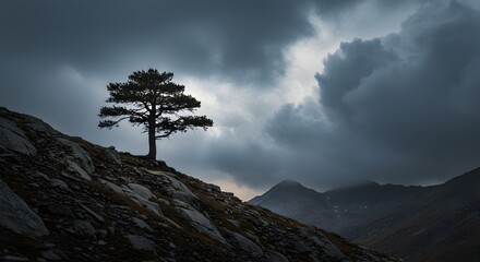 A Solitary Tree Stands Against A Dark And Cloudy Sky