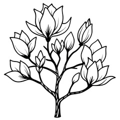 Black and White Magnolia Tree Botanical Sketch Line Art