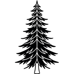 Fototapeta premium Black and White Side View Drawing of a Fir Tree with Detailed Foliage