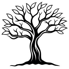 Black Line Art Old Olive Tree Gnarled Trunk Leaves