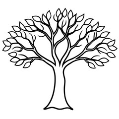 Black Line Art Olive Tree Natural Bark Texture black and white