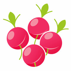 Minimal Radish Rounds Vector