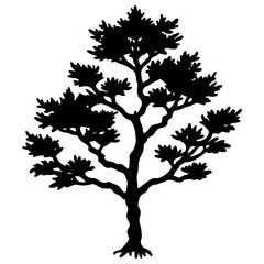 Black Silhouette Juniper Tree Spiky Foliage Detailed Trunk 1
