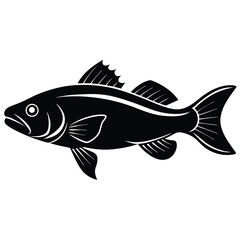 zander fish vector Illustrator 