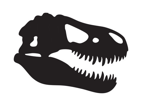 Black silhouette of Tyrannosaurus rex skull with sharp teeth and large jaw, isolated on white background, graphic illustration. Concept of prehistoric dinosaur skeleton, T rex fossil