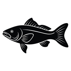 zander fish vector Illustrator 