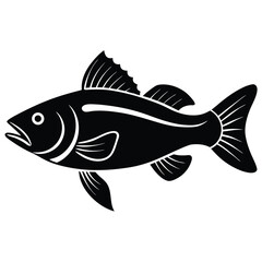 zander fish vector Illustrator 