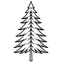Obraz premium Realistic Line Sketch of a Fir Tree Needle Detail pine tree