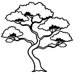 Side View Line Art Mature Juniper Tree Black White
