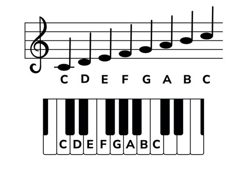 Musical staff and a piano keyboard with notes. Musical infographic with C major scale for music piano lessons, educational apps