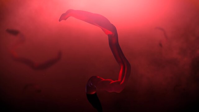 A Strain of Ebola virus disease in Human Body

No AI was used in the making of this content. Clip rendered in Blender and After Effects.