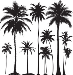 Collection of Palm trees vector silhouette isolated on a white background, Tropical palm tree black clipart. Tropical palm trees	