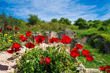 Ancient ruins and red poppies in Akrokorinthos