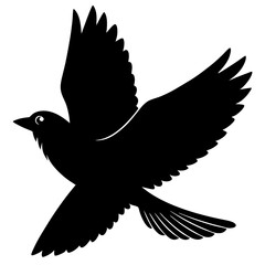 Obraz premium dove of peace