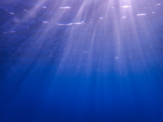 The sun shines through water, casting mottled light and shadow, intertwined with countless bubbles underwater, like a dance of light. Various aquatic, fish swimming in water in Mediterranean sea.
