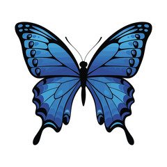 A vibrant blue butterfly with intricately designed wings featuring gradient shades of blue and black accents