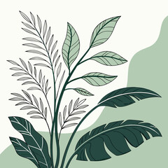 Flat vector Illustration of a foliage plant