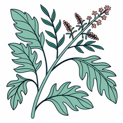 Flat vector Illustration of a foliage plant