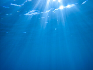 The sun shines through water, casting mottled light and shadow, intertwined with countless bubbles...