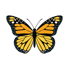 Obraz premium A vibrant butterfly with striking yellow wings, outlined in black. The wings are adorned with blue and white oval-shaped markings, giving a dynamic and lively feel. The butterfly's delicate antennae a