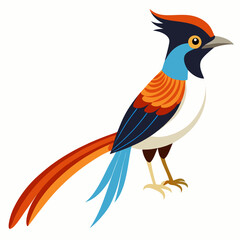 Elegant Paradise Flycatcher Vector