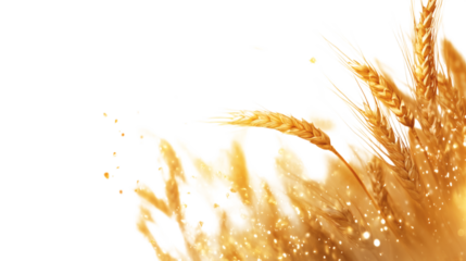 Flying mythical golden wheat grains surrounded by faint magical aura isolated on white background 