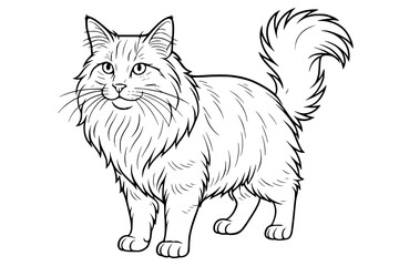 Norwegian Forest Cat Line Drawing