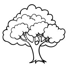 Roots in the Sky