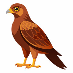 Simple Marsh Harrier Illustration
