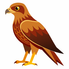 Simple Marsh Harrier Illustration